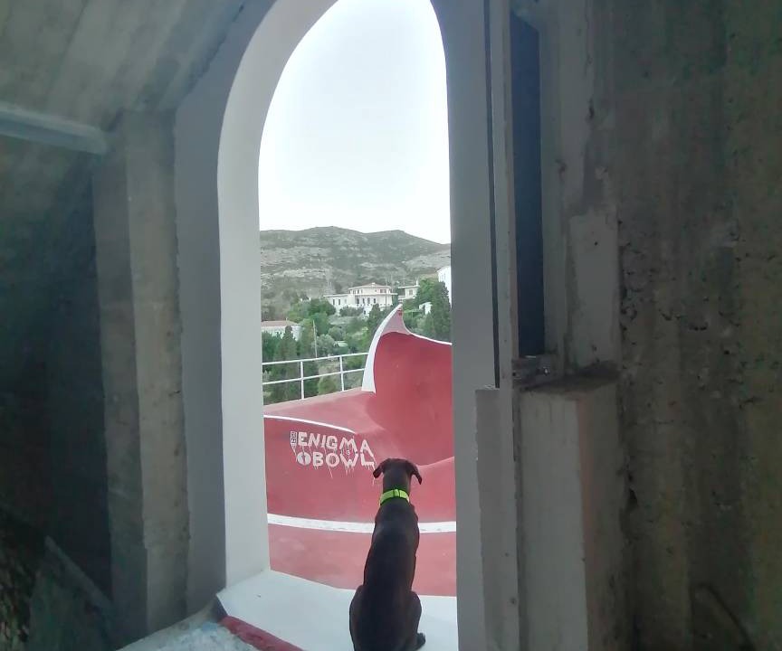 Photo of Others in Apikia