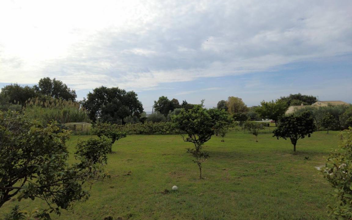 Photo of Others in Chalikounas