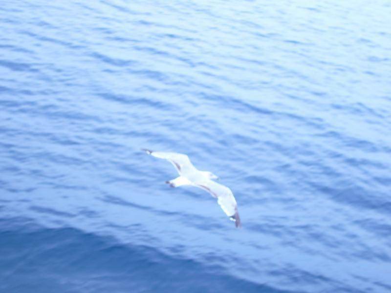 Photo of Others in Polichrono
