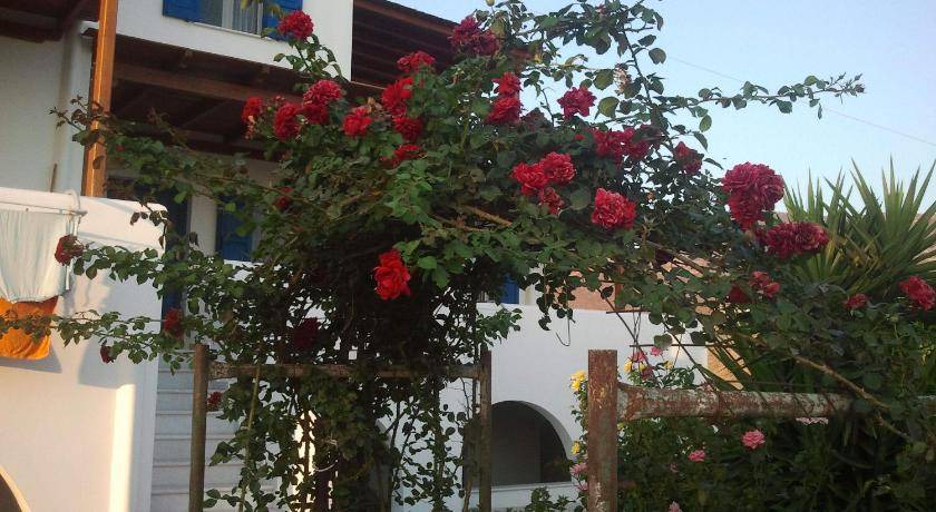 Photo of Others in Naxos