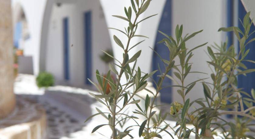 Photo of Others in Milos