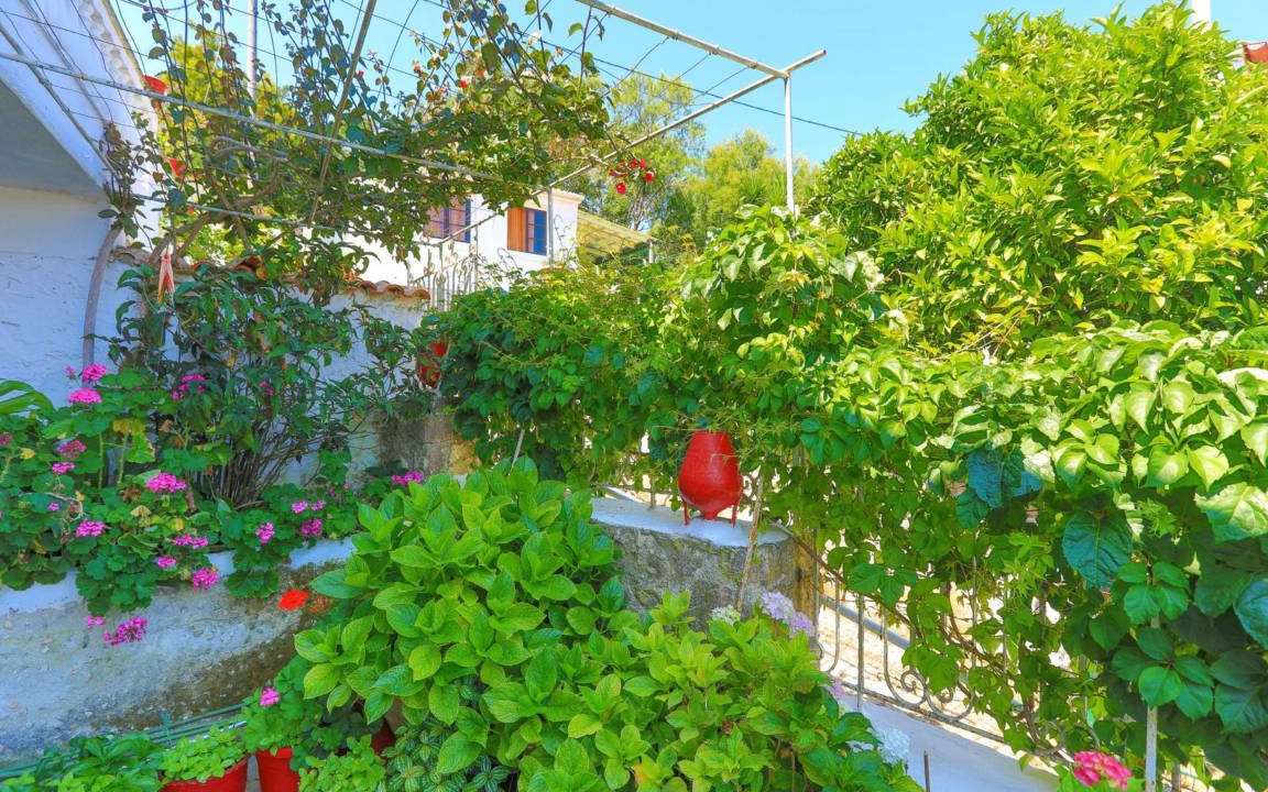 Photo of Others in Gaios