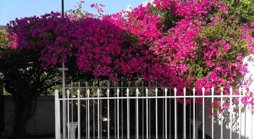 Photo of Others in Milos