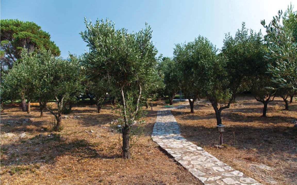 Photo of Others in Kiparissia