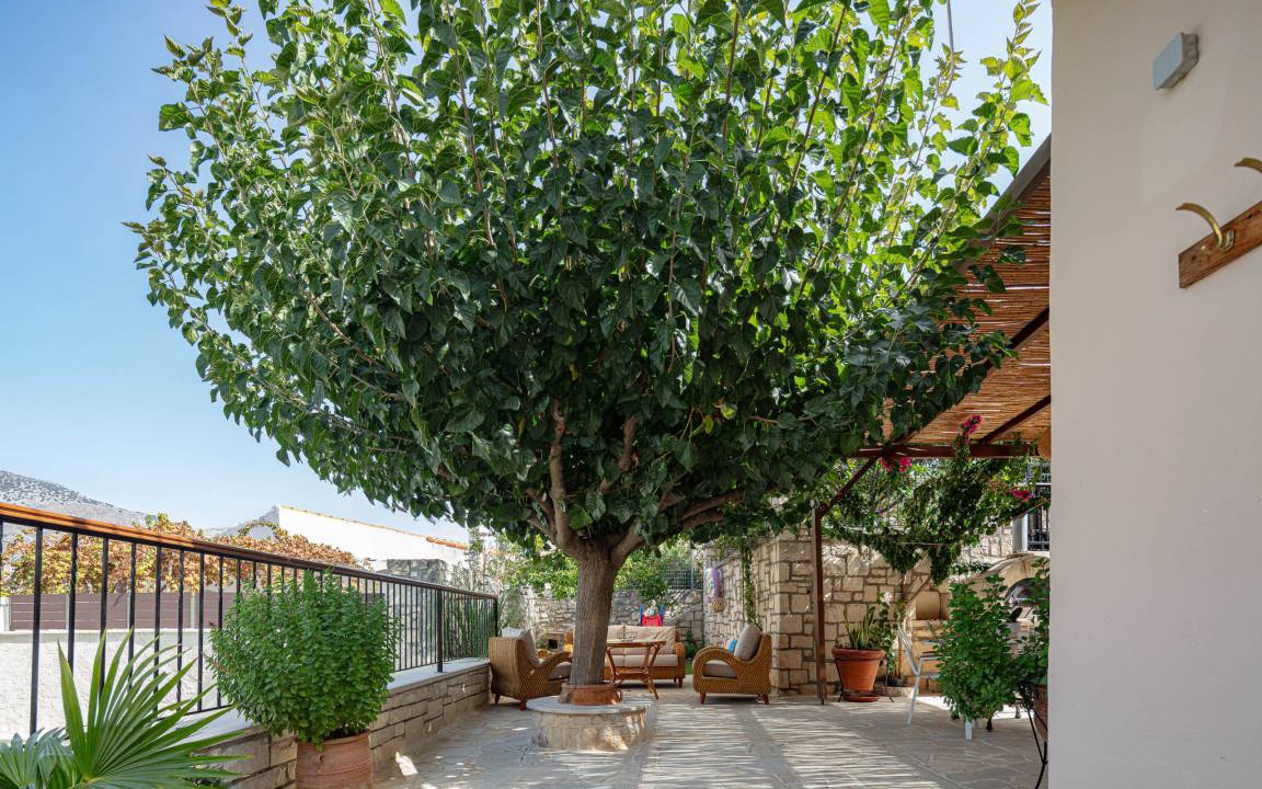 Photo of Others in Mylopotamos
