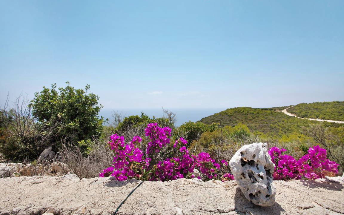 Photo of Others in Agia Marina