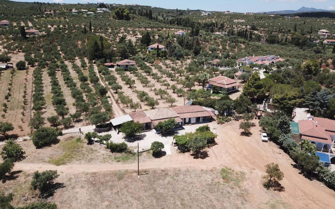 Photo of Others in Pylos-Nestoras