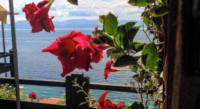 Photo of Patio Balcony in Afissos
