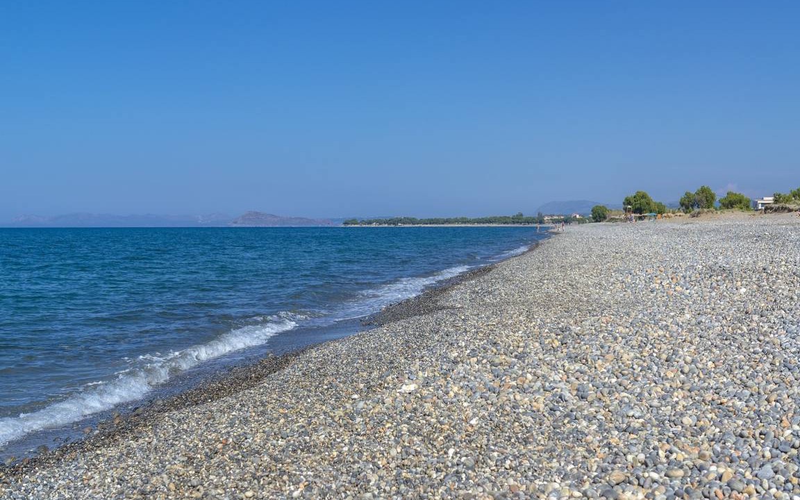 Photo of Others in Rapaniana