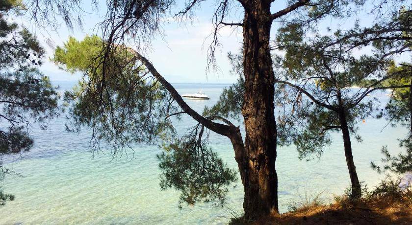 Photo of Others in Skala Rachoniou