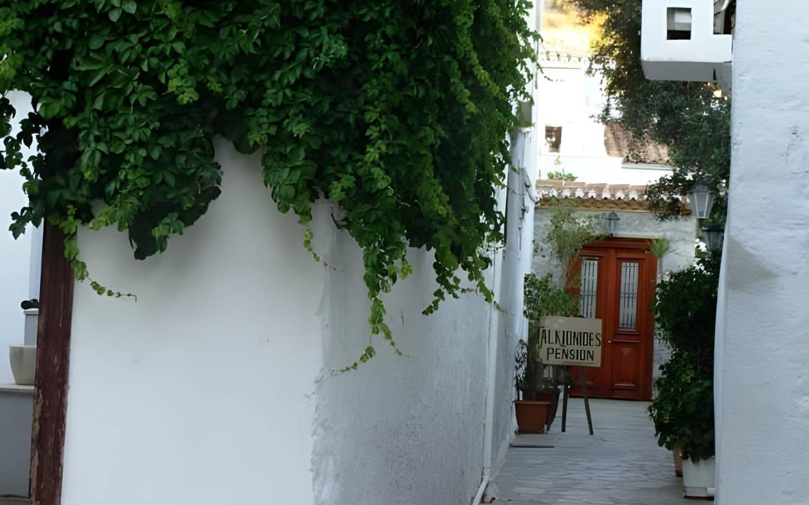 Photo of Others in Hydra