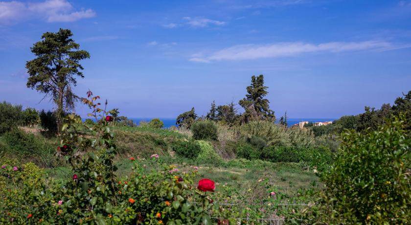 Photo of Others in Kontomari