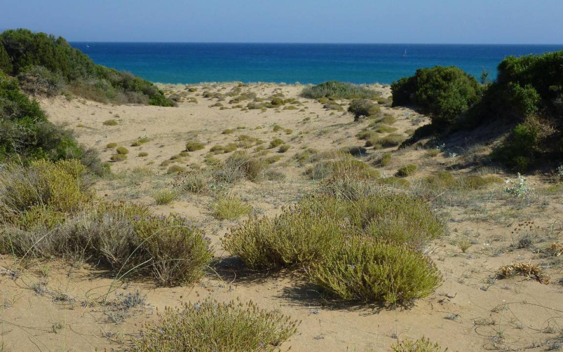 Photo of Others in Pylos-Nestoras