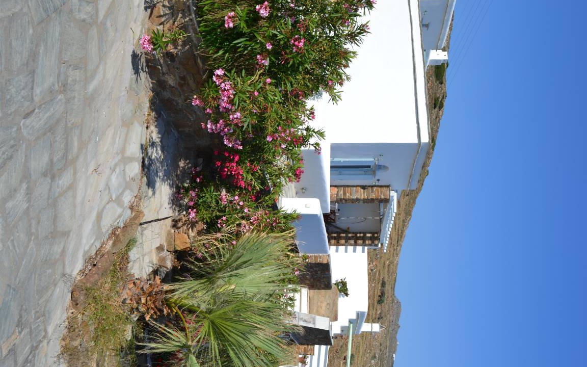 Photo of Others in Tinos Town