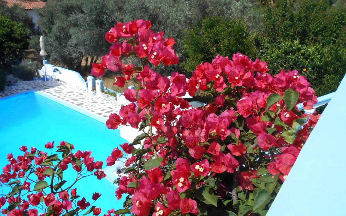 Photo of Patio Balcony in Marathokampos