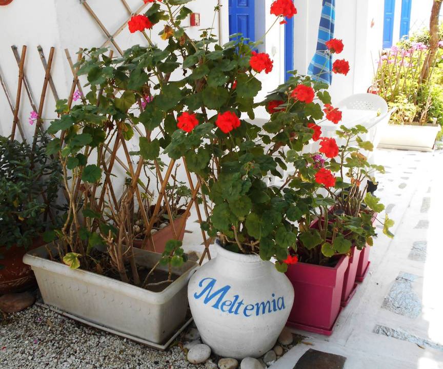 Photo of Patio Balcony in Marathokampos