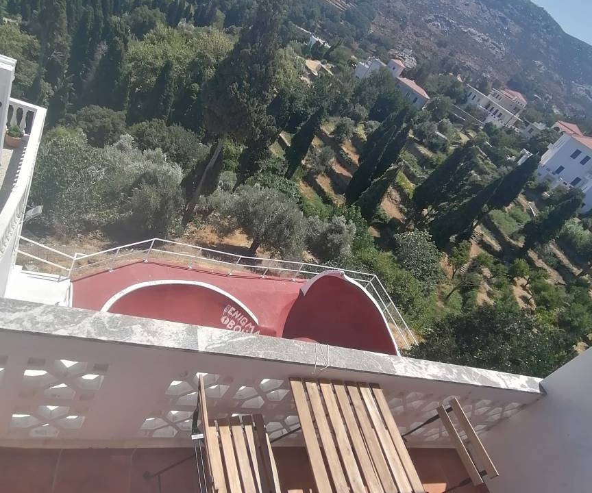 Photo of Others in Apikia