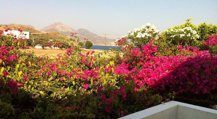 Photo of Others in Milos