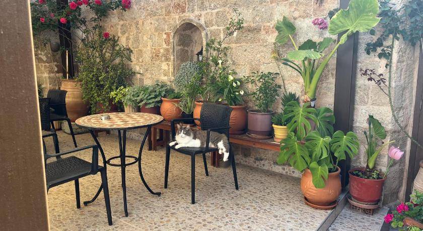 Photo of Others in Rhodes Old Town