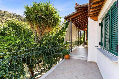Photo of Patio Balcony in Vournikas