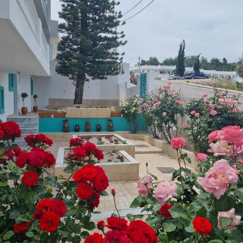 Photo of Others in Faliraki