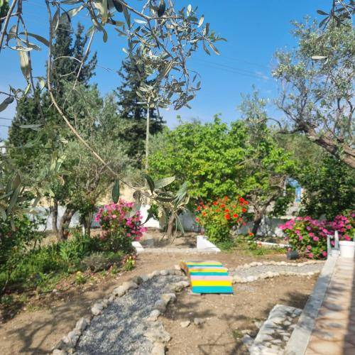 Photo of Others in Faliraki