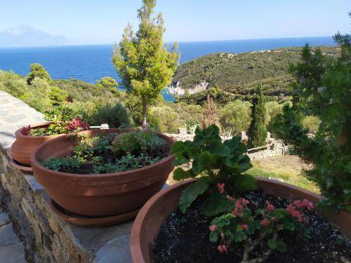 Photo of Others in Sithonia