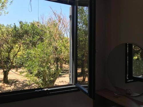 Photo of Others in Chios
