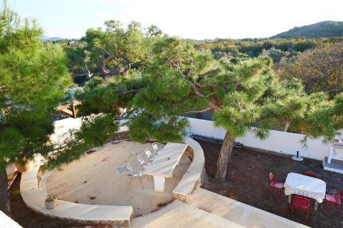 Photo of Others in Volissos