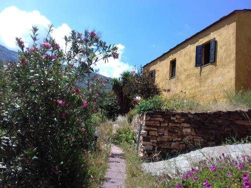 Photo of Others in Ikaria