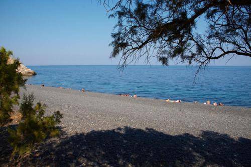 Photo of Others in Emporios