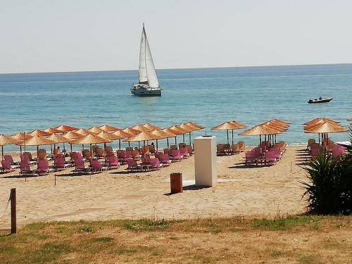 Photo of Others in Preveza