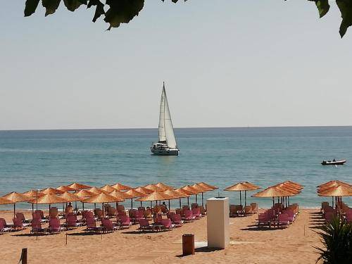 Photo of Others in Preveza