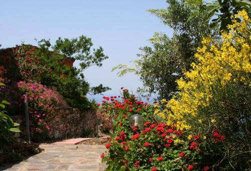 Photo of Others in Ikaria