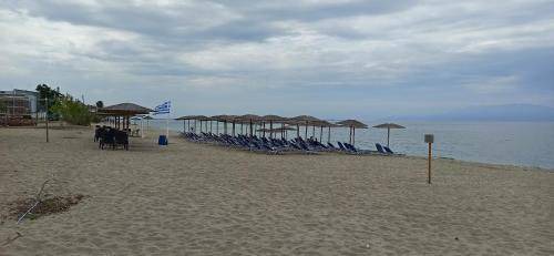 Photo of Outdoor in Kavala