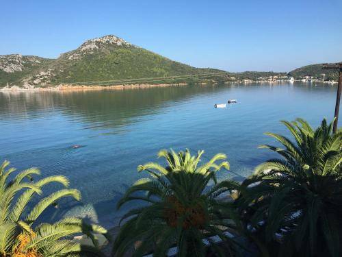 Photo of Others in Porto Koufo