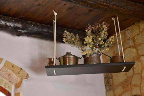 Photo of Kitchen in Vamos