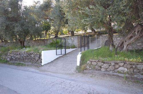 Photo of Others in Paleokastritsa