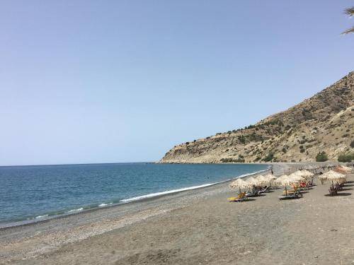 Photo of Others in Myrtos