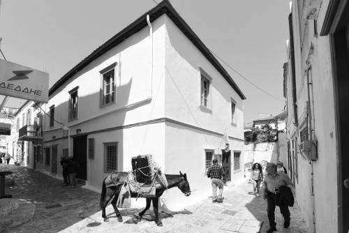 Photo of Others in Hydra