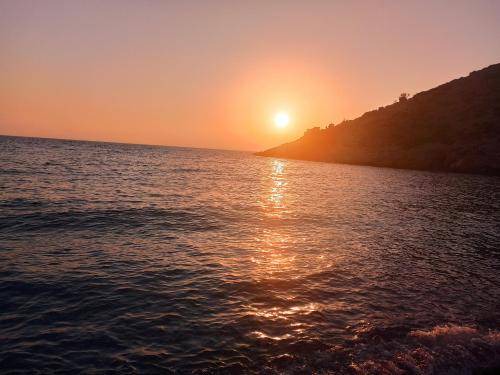 Photo of Others in Avgonima
