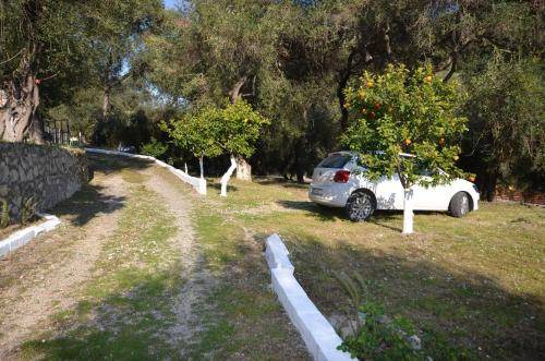 Photo of Others in Paleokastritsa