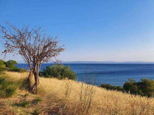 Photo of Others in Agios Mamas