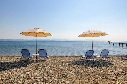 Photo of Others in Agios Mamas