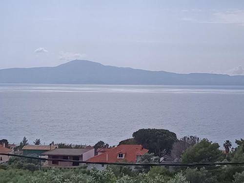 Photo of Others in Mikri Mantineia