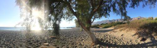 Photo of Others in Fragkokastello