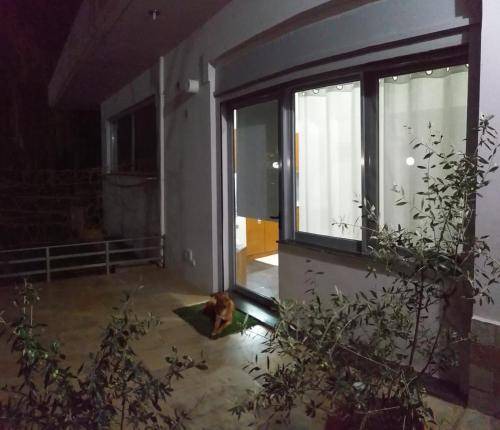 Photo of Others in Ioannina