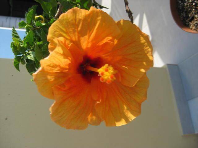 Photo of Others in Mastichari