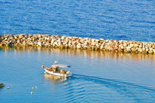 Photo of Others in Rafina-Pikermi