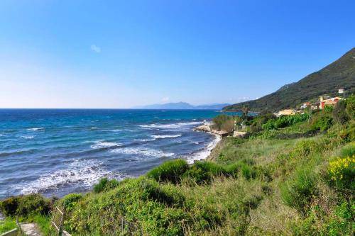Photo of Others in Skala